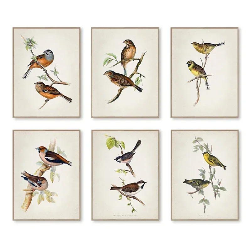 Resin Art On Canvas - Arte de Parede Vintage: O Pássaro